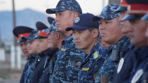 Жол кырстыктарын алдын алуу