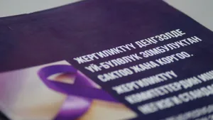 ТОҢ РАЙОНУНДА ҮЙ-БҮЛӨЛҮК ЗОМБУЛУКТУН АЛДЫН АЛУУ БОЮНЧА ТАЖРЫЙБА АЛМАШУУ СЕМИНАРЫ ӨТТҮ